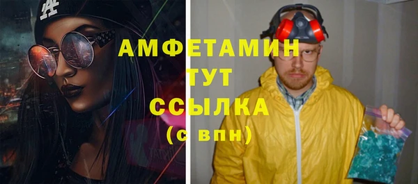 стаф Алексин