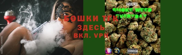 стаф Алексин