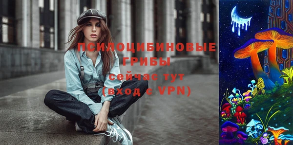ALPHA-PVP Алексеевка