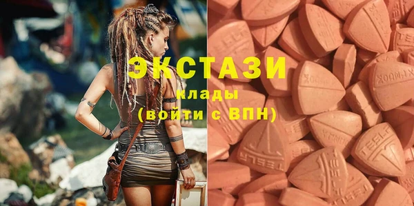 крисы Билибино