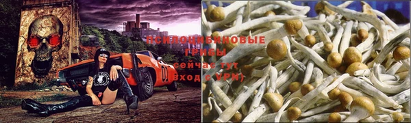 ALPHA-PVP Алексеевка