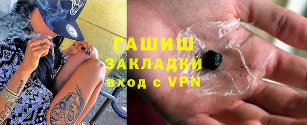 стаф Алексин