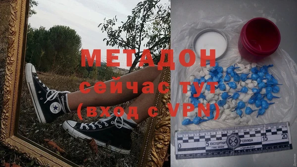 стаф Алексин