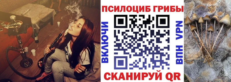 Галлюциногенные грибы мухоморы  дарнет шоп  Геленджик 